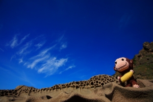 跟著小猴一起看藍天