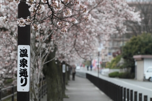 2012東京櫻之旅Day3