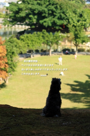 一起來尬狗。林口