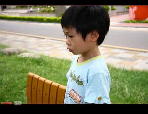 走吧,把拔帶你們去逛街!