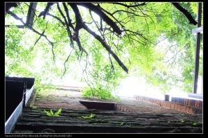 回到我兒時故居萬華剝皮寮