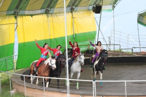 馬術表演