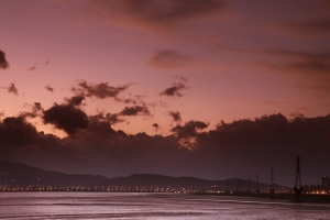 浪漫的五股溼地