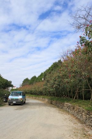 好天氣的新社古堡