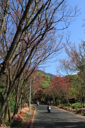 復興三路+天元宮隨拍