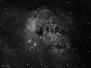 IC410 骷髏頭星雲