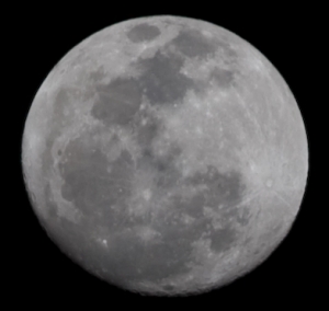 元宵節的最佳配角