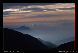 千禧合歡杜鵑花季紀行