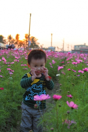 美濃花海之表姊全家福