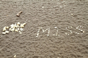 花東五日遊=>圖醜文臭長(慎入)