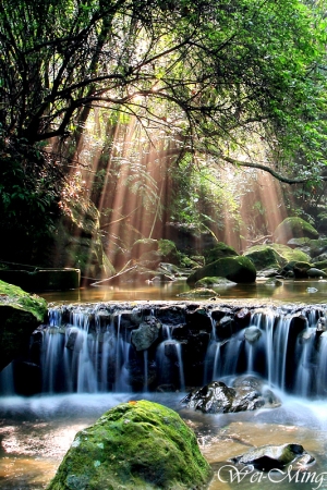 土城龍泉溪之斜射光