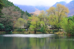 日本九州~金鱗湖