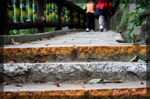 劍潭山親山步道