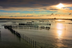 〔7.02〕夕彩映染七股潟湖