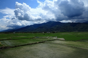 花蓮 富里火車追焦