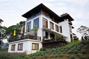 [底片版] 尖石薰衣草森林(15pics)