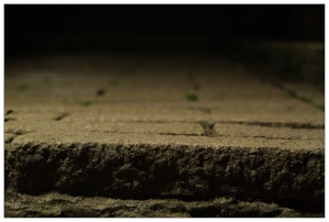 失敗的※象山夜拍※