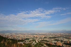 樹林 大同山 隨拍