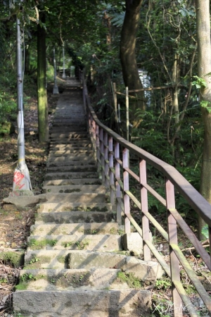 再次虎山