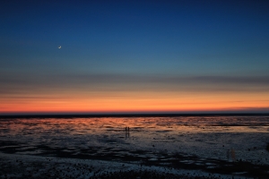 香山濕地(一張流)