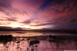 。 08/30&nbsp;&nbsp;五股濕地 日出霞光。