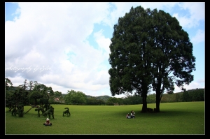 最美的神學院-三育基督學院