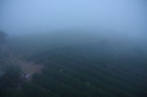 小爆肝六十石一日遊