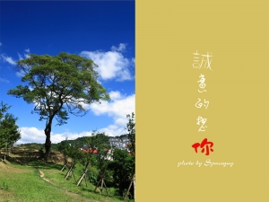 天氣好出去晃晃