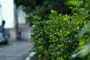老镜头出勤拍湿地