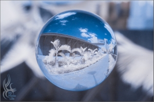 糖廍文化園區．R720＆R590．宙玉