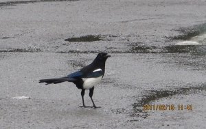 無開箱文的G12實拍