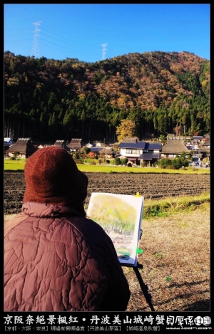 日本賞楓-田園作畫 打麋鹿(\ =.= /)賞銀杏【+影片】