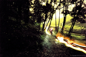 屁股發光小蟲蟲