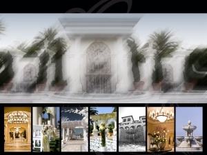 新手首貼請個位前輩多多觀照