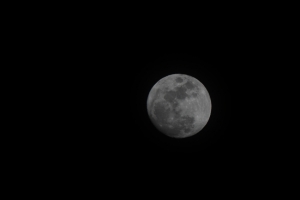 500mm長砲第一發～打月亮