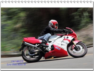 第一次拍追焦(136)