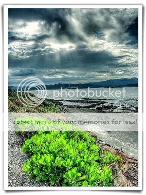 台二線-無名養殖 池附近