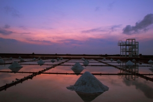 井仔腳&新營外環道(往柳營方向)夕陽