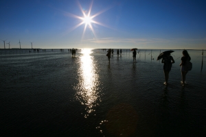 海的回憶 (高美濕地)&nbsp;&nbsp;雜工