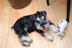 [10D]布魯的眼睛