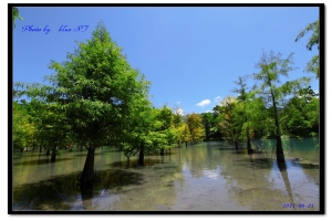 有點像九寨溝的感覺