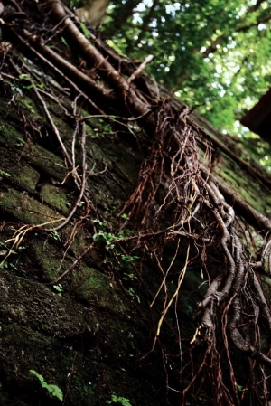 這是我今天的隨拍