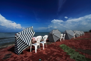 晴時多雲偶陣雨