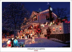 ::: Christmas Lights 聖誕燈飾 :::