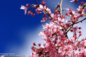 【CF風景篇2012年2月份優秀作品賞析】