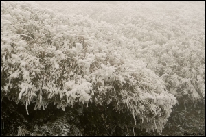 [台灣雪]2009辭歲之旅_不要命苦行鐵漢盃