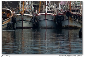 出擊瞬間。20090701大溪漁港