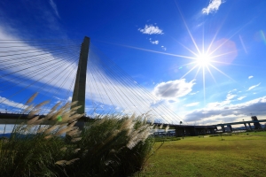 青天白日新北大橋(沒有滿地紅)