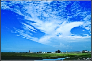 高美溼地~一張流