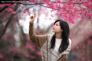 Just Lovely | 可艾